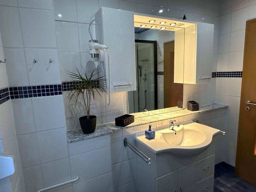 Christels Ferienwohnung 2 In Thale Mit Ueberdachter Terrasse, Kueche Mit Tv & Geschirrspueler المظهر الخارجي الصورة